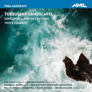 Turbulent Landscapes