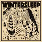 Wintersleep - Free Fall / Fading Out (CDS)