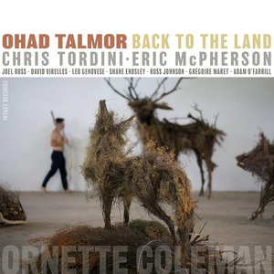 Back To The Land (With Chris Tordini & Eric Mcpherson) CD2