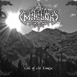 Call Of The Forest
