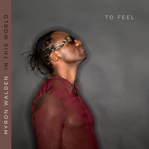 In This World To Feel