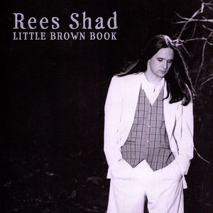 Little Brown Book