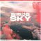 Newera - Birds In The Sky (CDS)