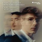 Pavel Kolesnikov - Schubert: Divertissement A La Hongroise, Fantaisie in F Minor