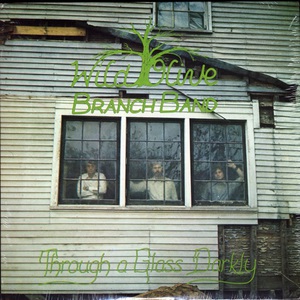 Though A Glass Darkly (Vinyl)