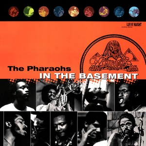 In The Basement
