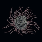 Bearings: Soundtracks For The Bardos