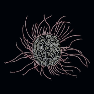 Bearings: Soundtracks For The Bardos