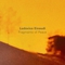 Ludovico Einaudi - Fragments Of Peace