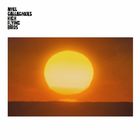 Noel Gallagher's High Flying Birds - In A Little While (CDS)