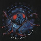 Drosophila Road
