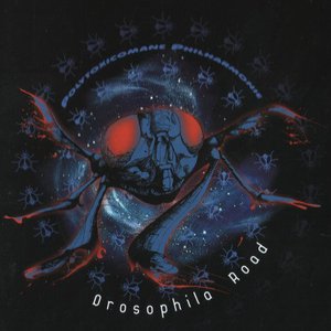 Drosophila Road