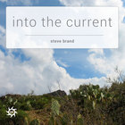 Steve Brand - Into The Current