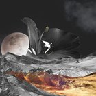 Introspection (With Q.U.A.K.E & Vincenzo Sarti) (CDS)
