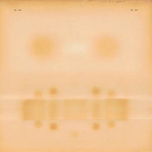 Dr. Dog
