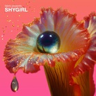 Fabric Presents Shygirl (Mixed)