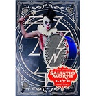 Saltatio Mortis - Zirkus Zeitgeist (Live Aus Der Grossen Freiheit) CD1