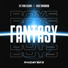 Fantasy Boys - New Tomorrow (EP)