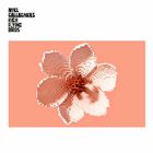Noel Gallagher's High Flying Birds - Love Will Tear Us Apart (CDS)