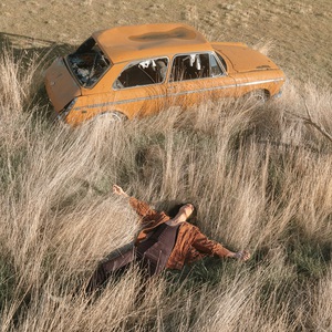 The Plow That Broke The Plains