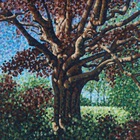 Songs For The Willow (EP)