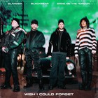 Slander - Wish I Could Forget (Feat. Blackbear & Bring Me The Horizon) (CDS)