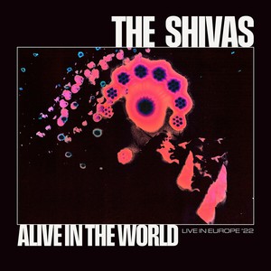 Alive In The World