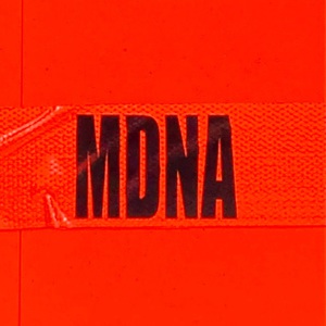 MDNA + 6 CD1