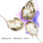Abundant Shores