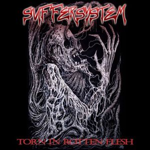 Torn In Rotten Flesh
