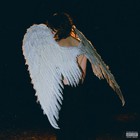I’m Watching You (EP)