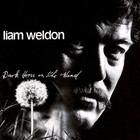 Dark Horse On The Wind (Vinyl)