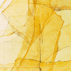 Central Park's Mosaics Of Reservoir, Lake, Paths And Gardens
