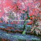 Tropical Brainforest (Reissued)