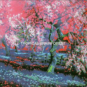 Tropical Brainforest (Reissued)