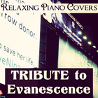 Tribute To Evanescence