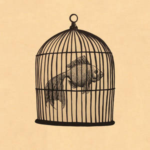 Fish In A Birdcage (EP)