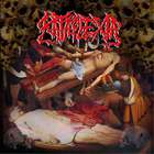 Morgue's Reality