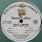 Dark Energy (CDS)