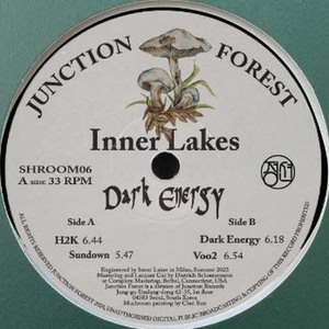 Dark Energy (CDS)