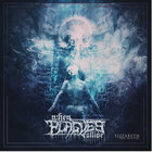 Elizabeth (Feat. Misstiq) (CDS)