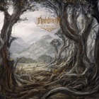 Forest Of Eternal Dawn