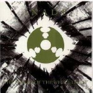 The Flood Of White Light (EP)