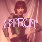 Strut (CDS)