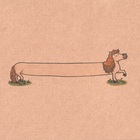 The Longest Pony