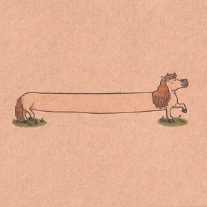 The Longest Pony