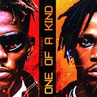 One Of A Kind (Feat. Fireboy Dml) (CDS)