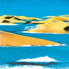 Dg-581 (Vinyl)
