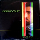Pictures Of Life (Vinyl)