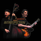 Introspection (With Harvie S.)